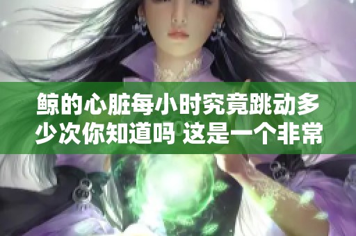 鲸的心脏每小时究竟跳动多少次你知道吗 这是一个非常有趣的问题