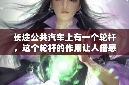 长途公共汽车上有一个轮杆，这个轮杆的作用让人倍感好奇