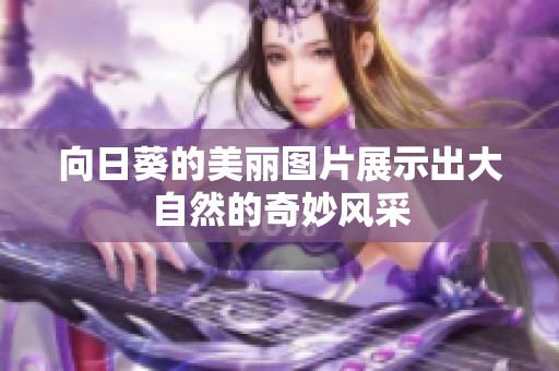 向日葵的美丽图片展示出大自然的奇妙风采