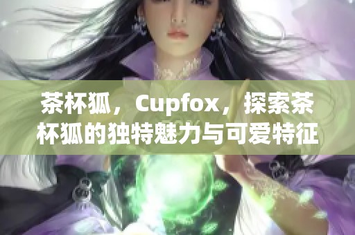 茶杯狐，Cupfox，探索茶杯狐的独特魅力与可爱特征