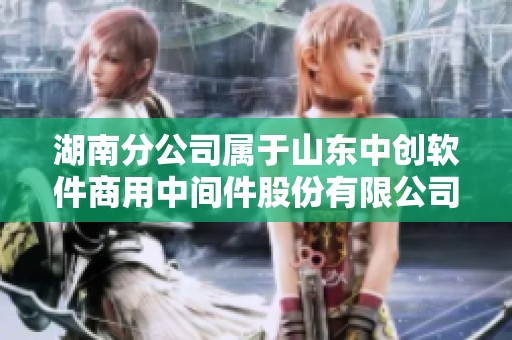 湖南分公司属于山东中创软件商用中间件股份有限公司的企查查信息介绍