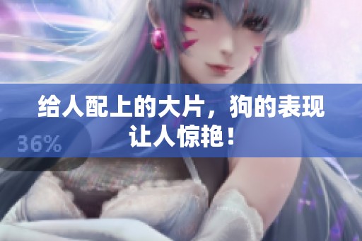 给人配上的大片，狗的表现让人惊艳！