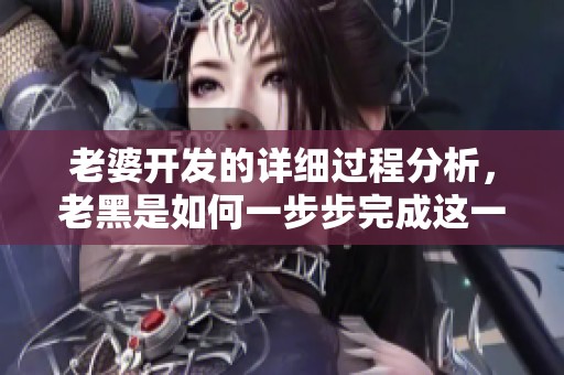 老婆开发的详细过程分析，老黑是如何一步步完成这一任务的