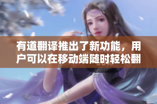 有道翻译推出了新功能，用户可以在移动端随时轻松翻译。