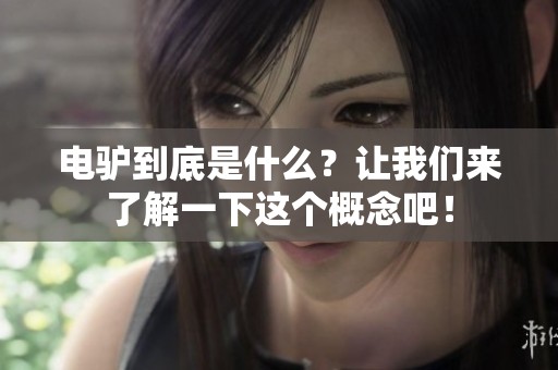 电驴到底是什么？让我们来了解一下这个概念吧！
