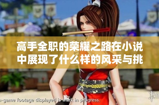 高手全职的荣耀之路在小说中展现了什么样的风采与挑战