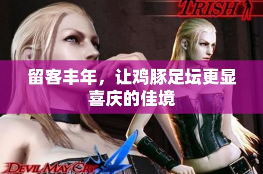 留客丰年，让鸡豚足坛更显喜庆的佳境