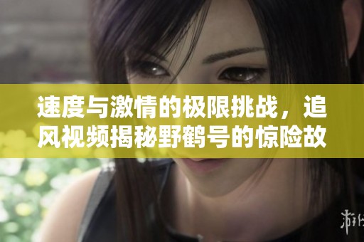 速度与激情的极限挑战，追风视频揭秘野鹤号的惊险故事