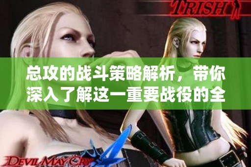 总攻的战斗策略解析，带你深入了解这一重要战役的全貌与意义