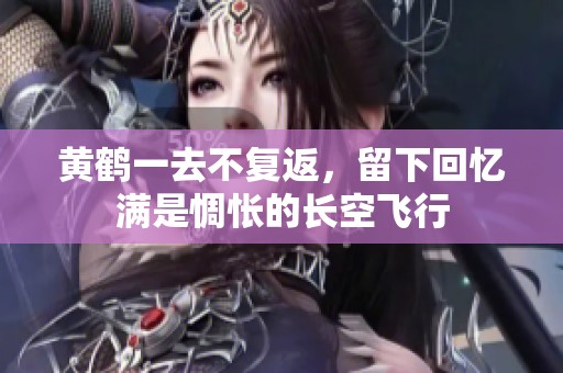 黄鹤一去不复返，留下回忆满是惆怅的长空飞行