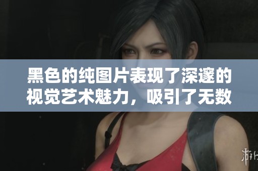 黑色的纯图片表现了深邃的视觉艺术魅力，吸引了无数人的目光。