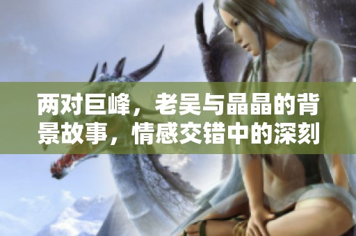 两对巨峰，老吴与晶晶的背景故事，情感交错中的深刻回忆与感悟