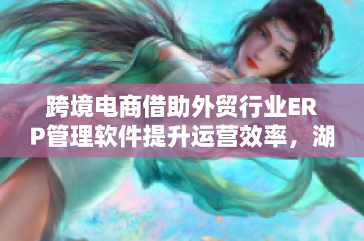 跨境电商借助外贸行业ERP管理软件提升运营效率，湖畔网络万重助力实现高效管理
