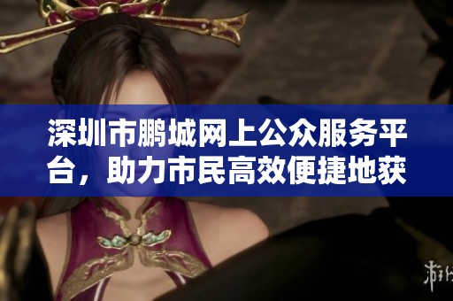 深圳市鹏城网上公众服务平台，助力市民高效便捷地获取各类服务信息