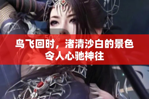 鸟飞回时，渚清沙白的景色令人心驰神往