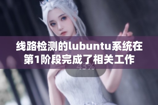 线路检测的lubuntu系统在第1阶段完成了相关工作