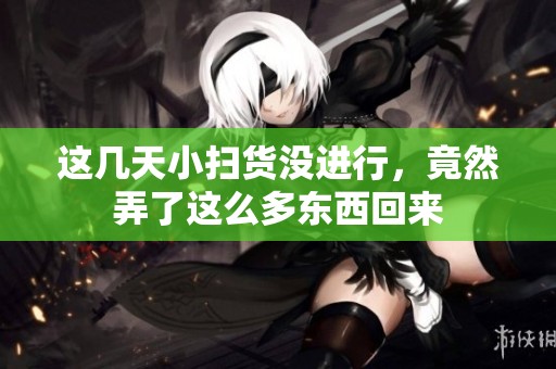 这几天小扫货没进行，竟然弄了这么多东西回来