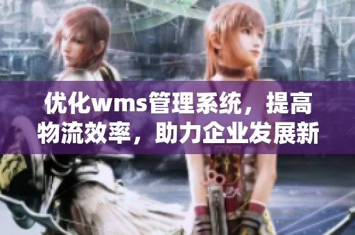 优化wms管理系统，提高物流效率，助力企业发展新突破