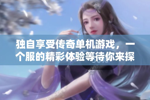 独自享受传奇单机游戏，一个服的精彩体验等待你来探索