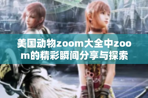 美国动物zoom大全中zoom的精彩瞬间分享与探索