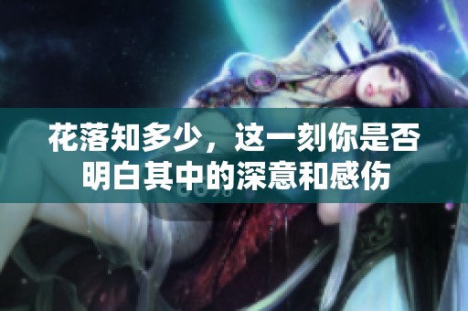 花落知多少，这一刻你是否明白其中的深意和感伤