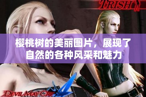 樱桃树的美丽图片，展现了自然的各种风采和魅力