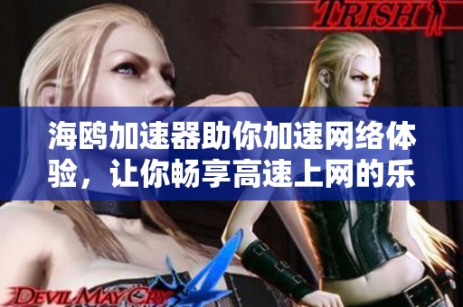 海鸥加速器助你加速网络体验，让你畅享高速上网的乐趣