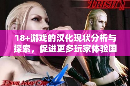18+游戏的汉化现状分析与探索，促进更多玩家体验国产游戏新机制