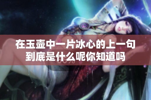 在玉壶中一片冰心的上一句到底是什么呢你知道吗