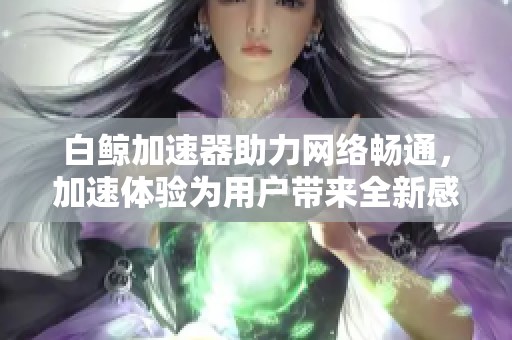 白鲸加速器助力网络畅通，加速体验为用户带来全新感受
