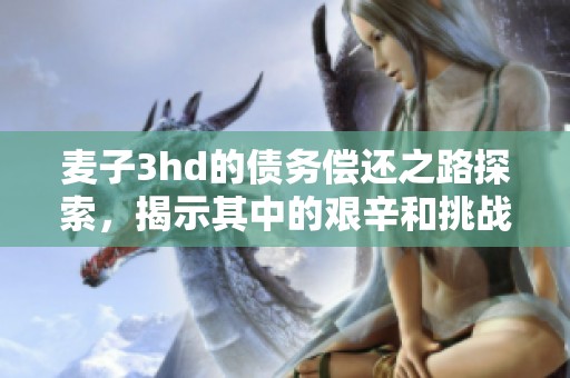 麦子3hd的债务偿还之路探索，揭示其中的艰辛和挑战