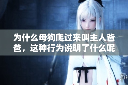 为什么母狗爬过来叫主人爸爸，这种行为说明了什么呢