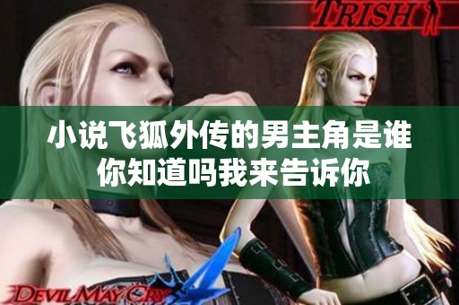 小说飞狐外传的男主角是谁 你知道吗我来告诉你