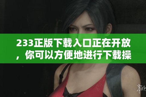 233正版下载入口正在开放，你可以方便地进行下载操作