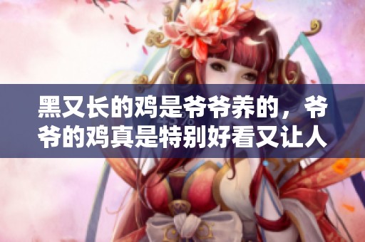 黑又长的鸡是爷爷养的，爷爷的鸡真是特别好看又让人喜欢