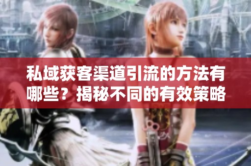 私域获客渠道引流的方法有哪些？揭秘不同的有效策略与技巧