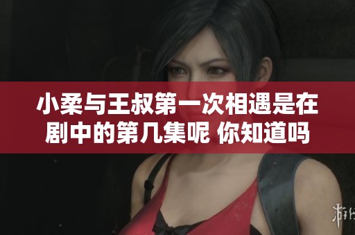 小柔与王叔第一次相遇是在剧中的第几集呢 你知道吗