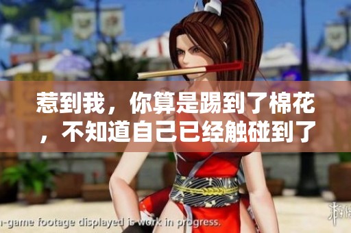 惹到我，你算是踢到了棉花，不知道自己已经触碰到了软肋吗