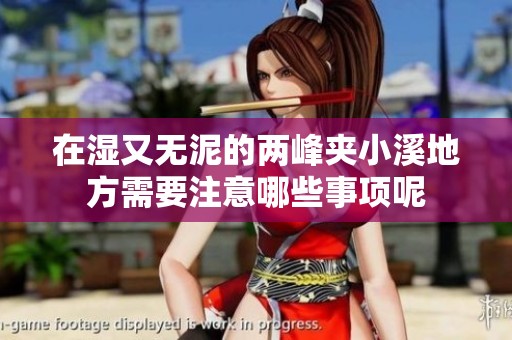 在湿又无泥的两峰夹小溪地方需要注意哪些事项呢
