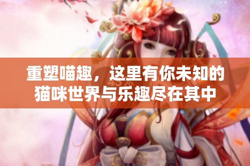 重塑喵趣，这里有你未知的猫咪世界与乐趣尽在其中