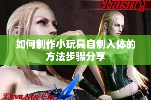 如何制作小玩具自制入体的方法步骤分享