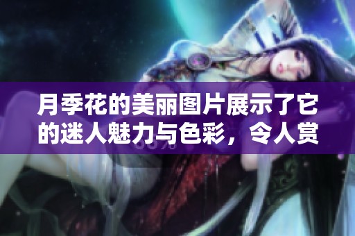 月季花的美丽图片展示了它的迷人魅力与色彩，令人赏心悦目