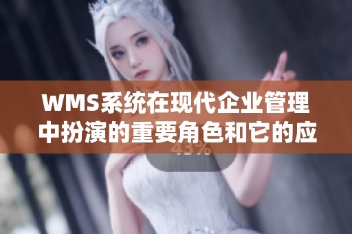 WMS系统在现代企业管理中扮演的重要角色和它的应用价值分析